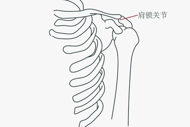 海牛官方：图费格季奇右肩锁关节完全脱位，预计伤缺5-7周