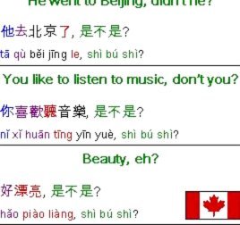 教练证难吗？韩鹏识字吗？