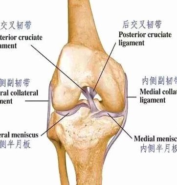 蒋圣龙这样的疾病，在过往的足球篮球里，有过类似案例吗？