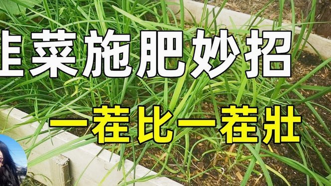 早起背后的割韭菜秘密